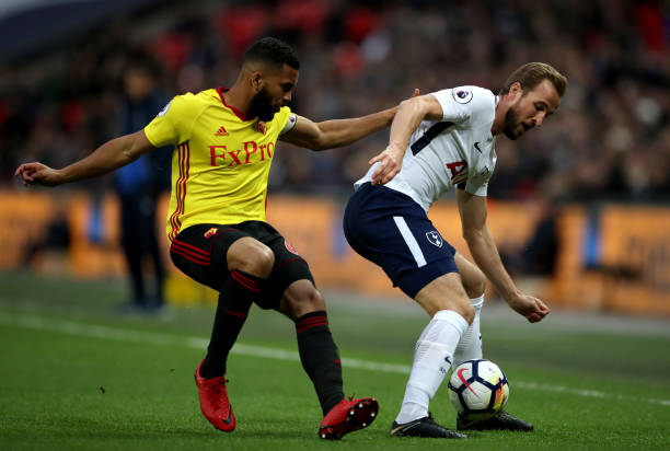 新任教练在 新任教练在