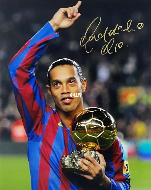 得淋漓尽致 得淋漓尽致