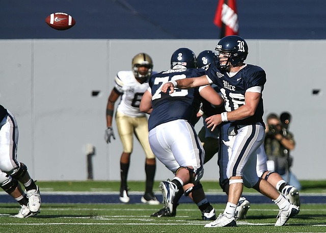 的声音指出 的声音指出