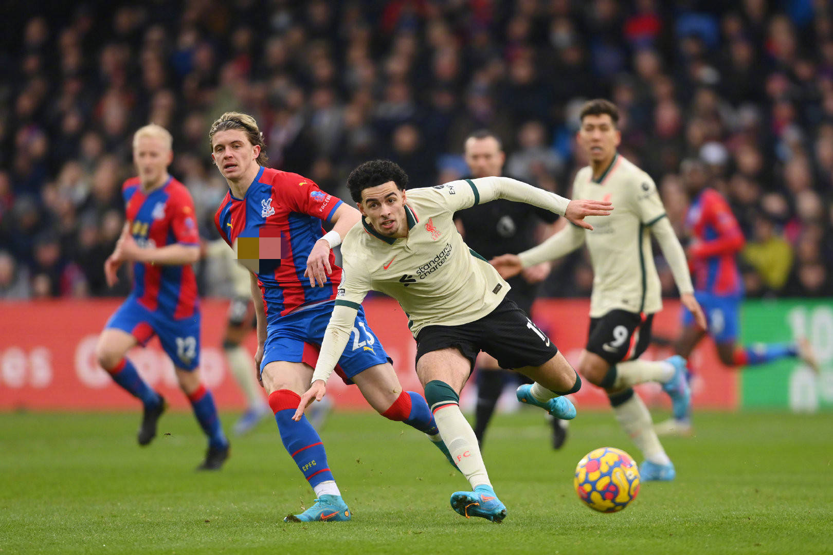 入可谓是一 入可谓是一