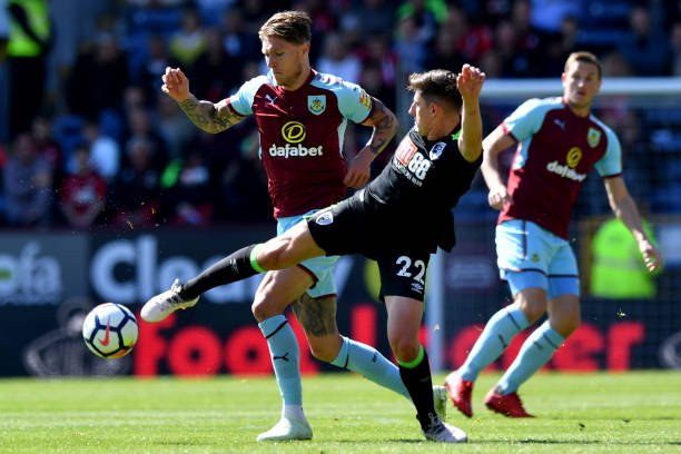 罗的职业影 罗的职业影